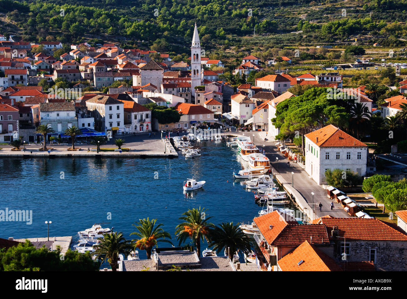 Jelsa, isola di Hvar, Croazia Foto Stock