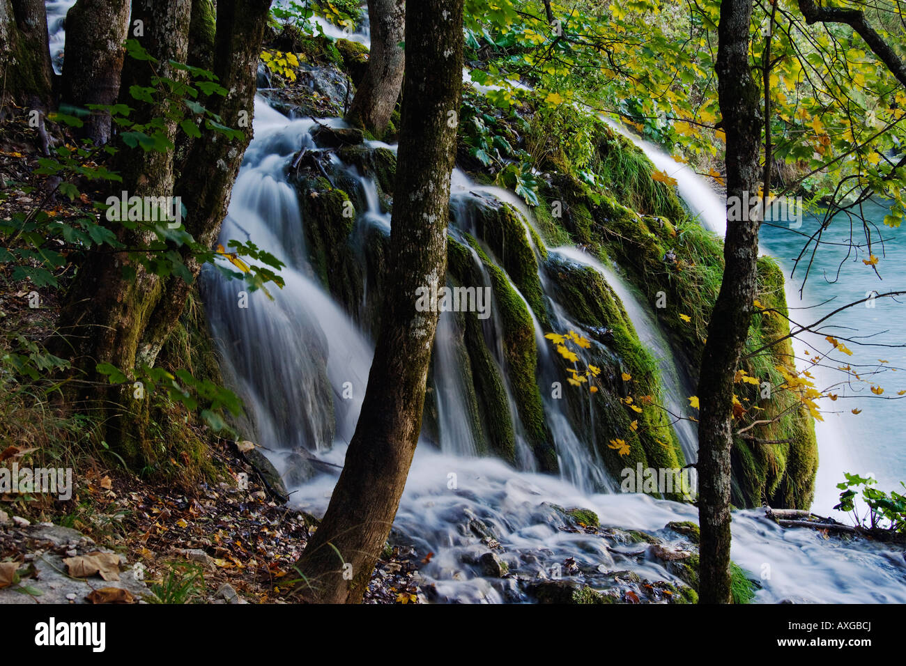 Cascata, il Parco Nazionale dei Laghi di Plitvice, Croazia Foto Stock
