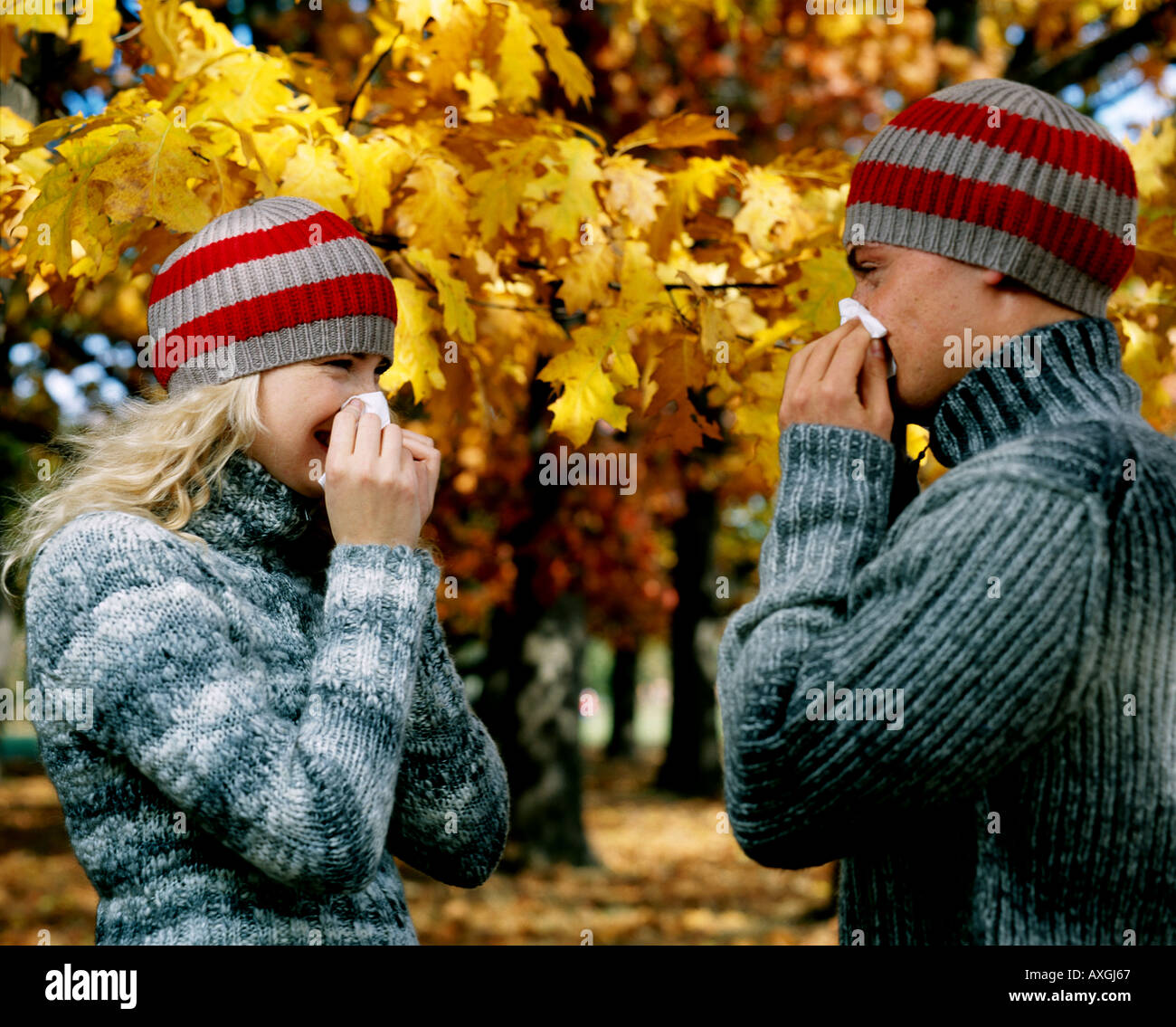 Matura in stessi tappi nel parco sono soffia il naso. Foto Stock