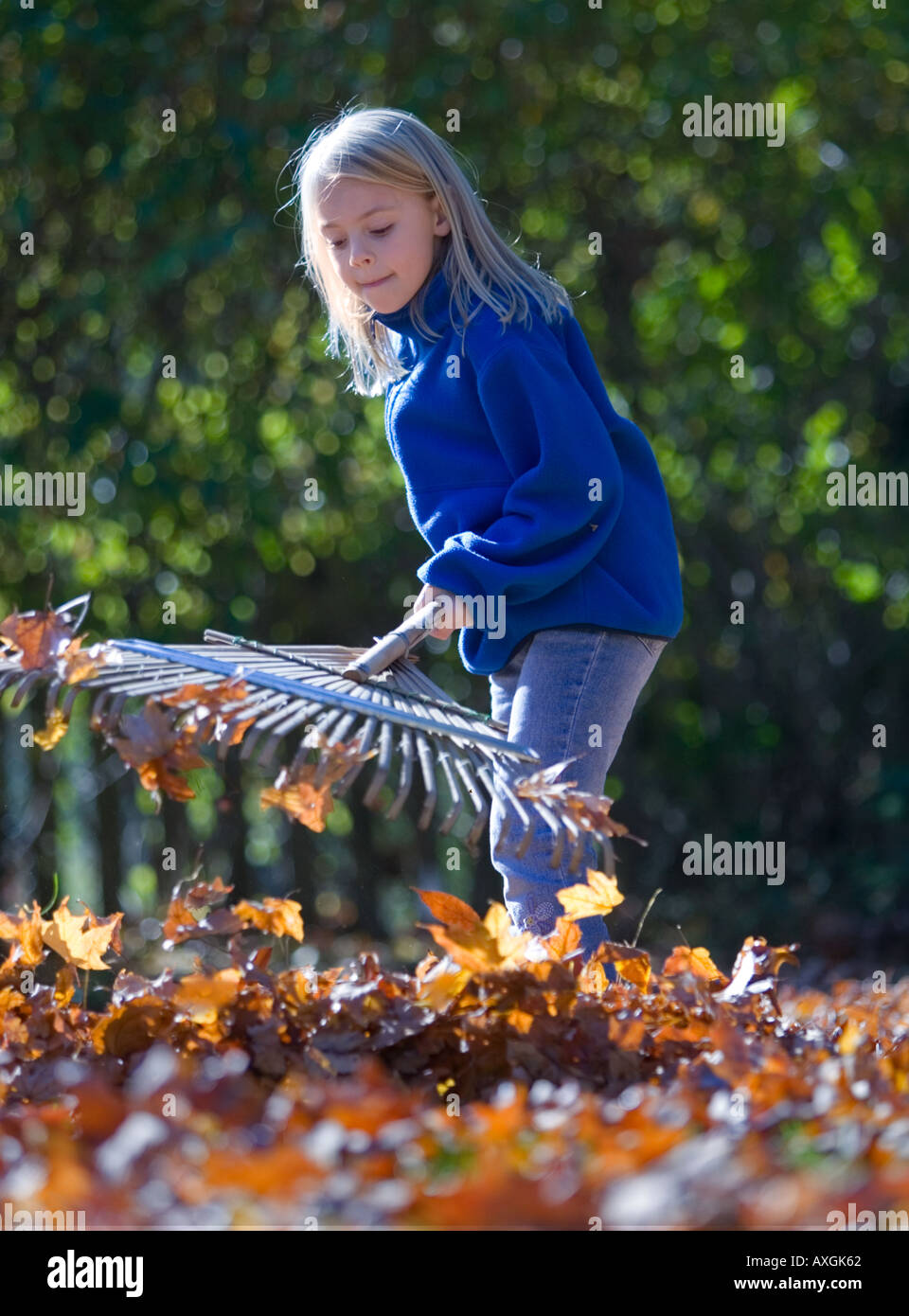 Bambino a rastrellare foglie nel suo cortile Foto Stock