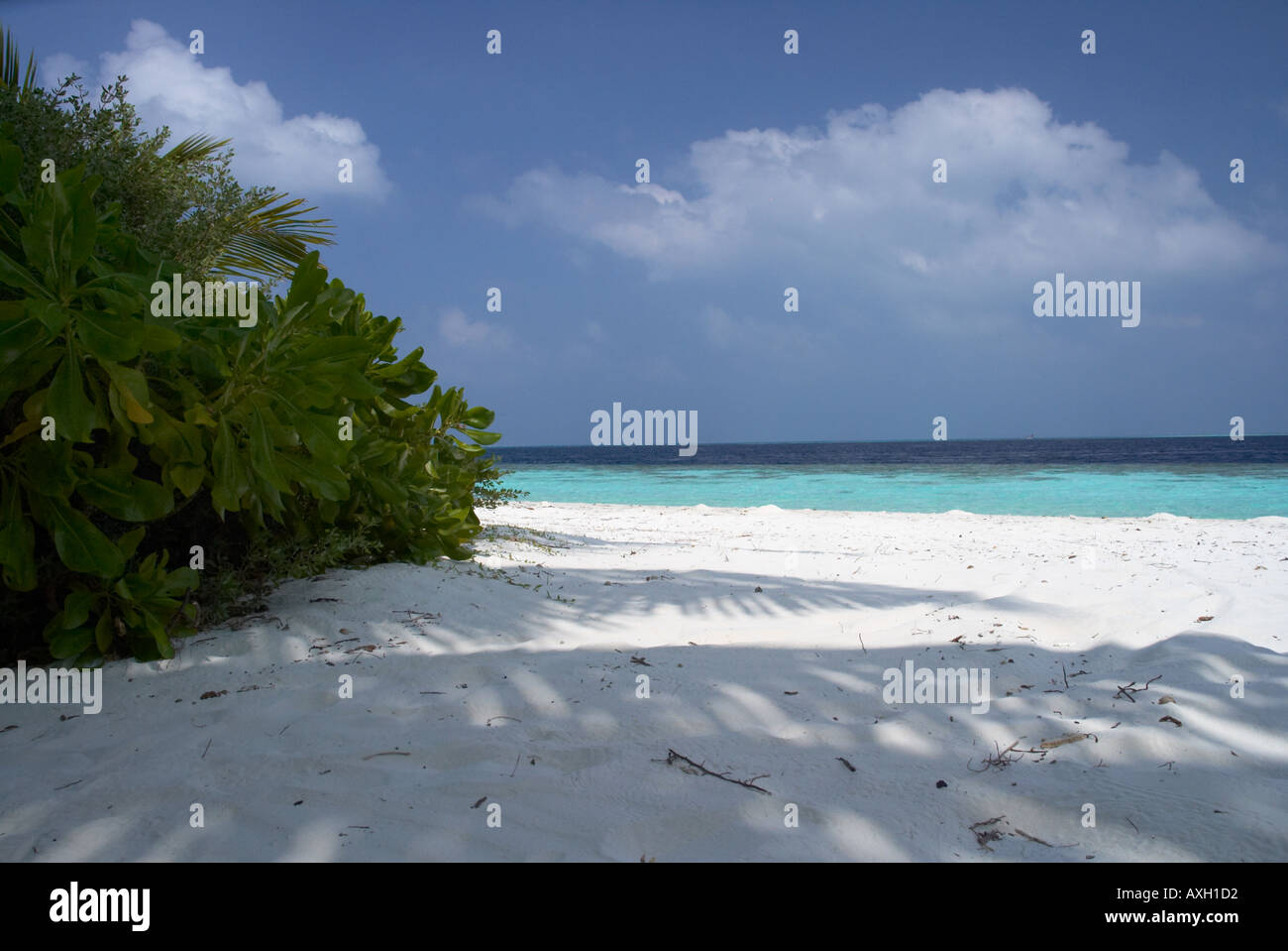 Isola maldiviana beach Foto Stock
