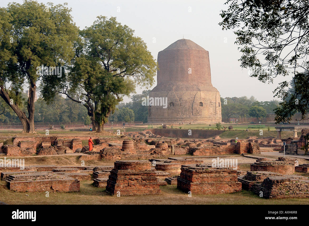 Mrigadava Deer Park e Darmaracika Stupa dove Gautama Buddha ha dato il suo primo sermone Varanasi India Foto Stock