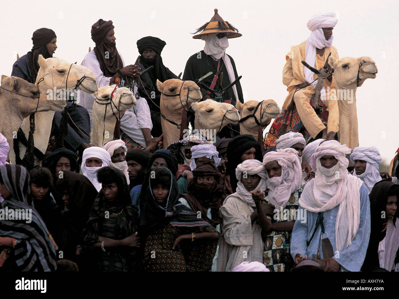 Il Tuareg tribesmen park i loro cammelli in corrispondenza del bordo della folla per una gobba-alta vista Wodabe danza, Niger. Foto Stock
