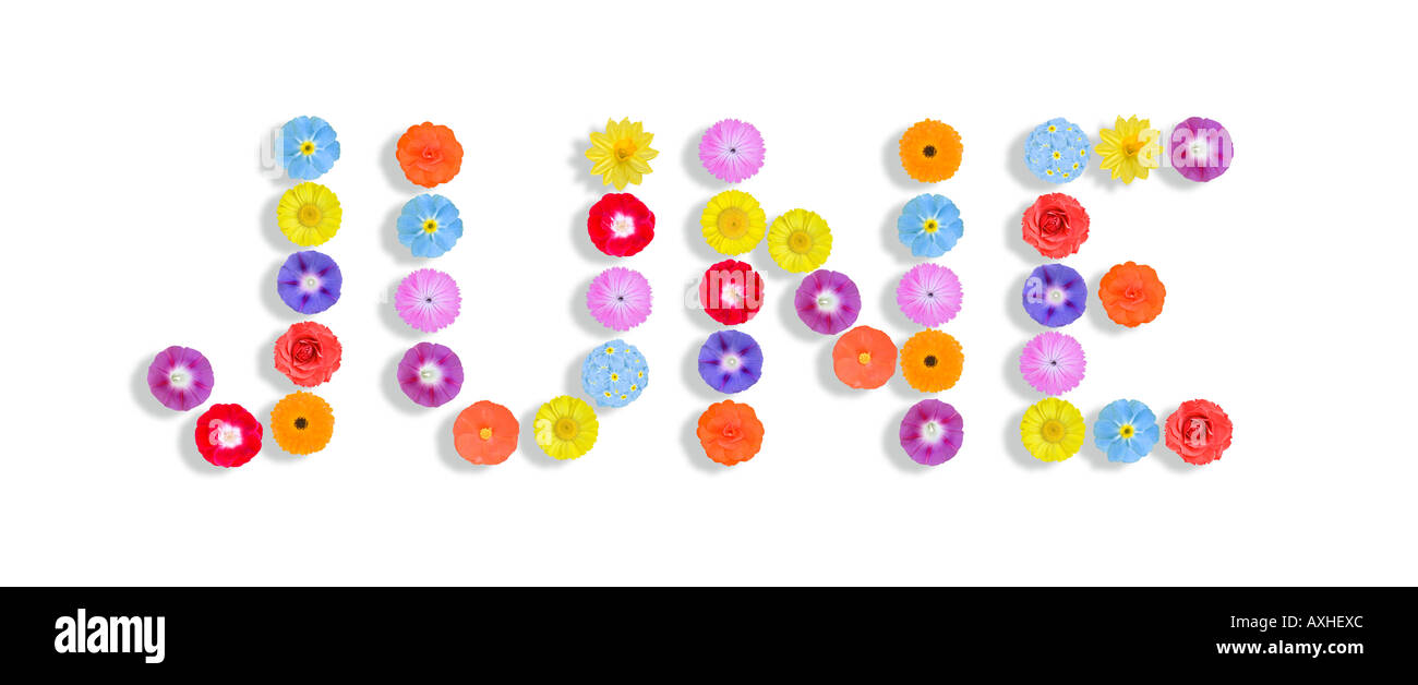 Parola giugno scritta con fiori Foto Stock