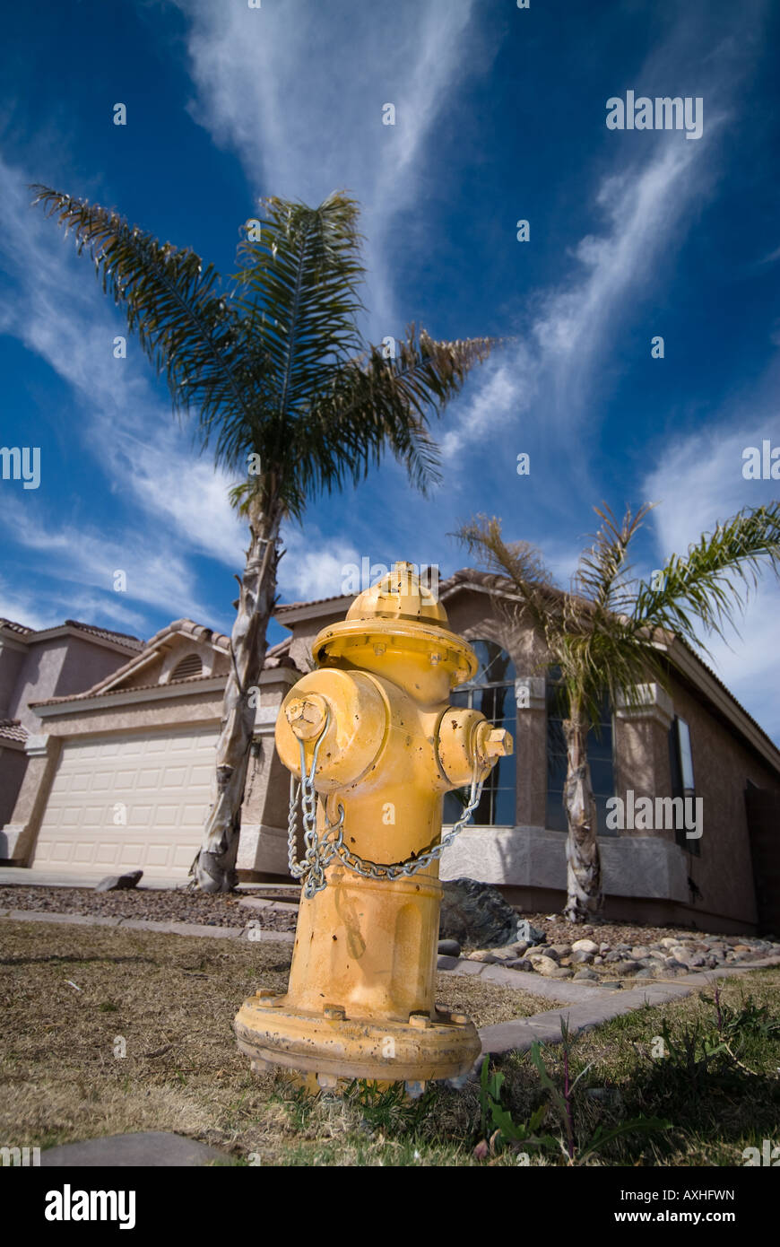 Un yallow idrante di fuoco si trova di fronte a una casa moderna in un quartiere di lusso Foto Stock