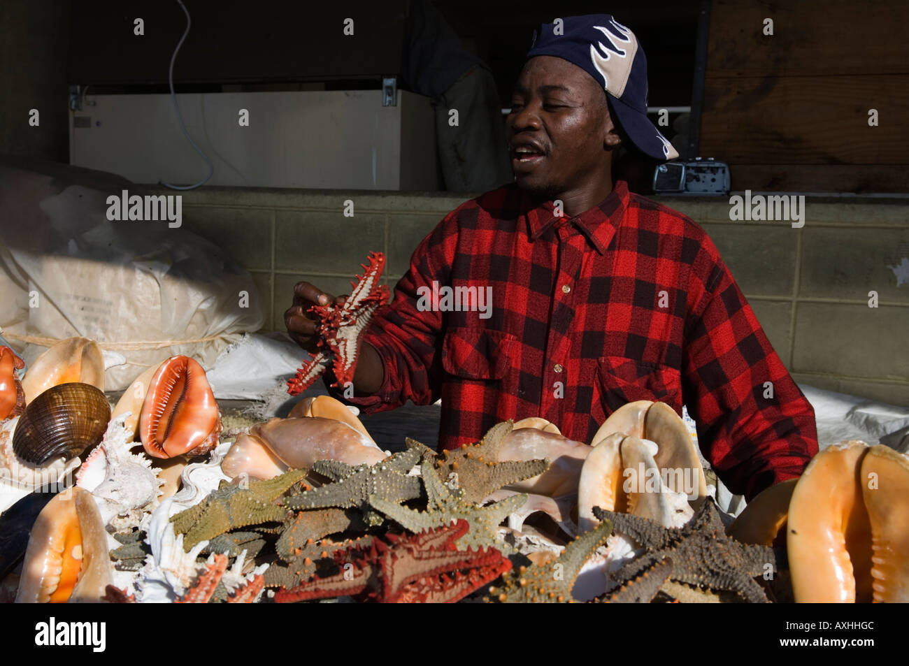 Tanzania Dar es Salaam conchiglie di mare per la vendita Foto Stock