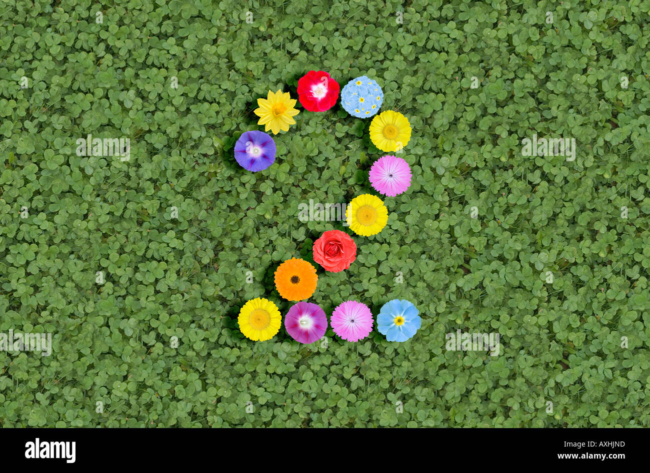 I numeri scritti con fiori Foto Stock