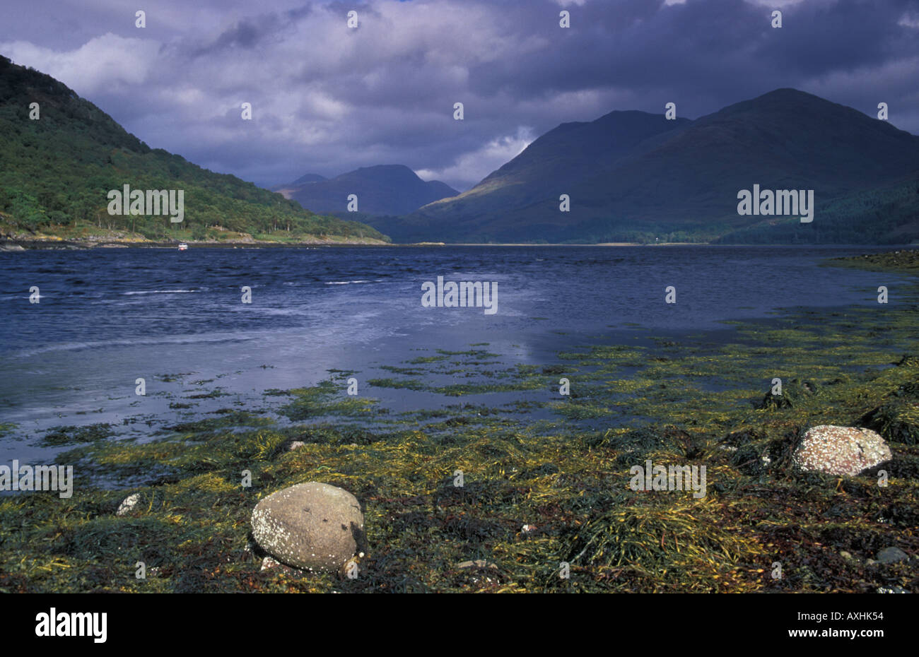 Loch Creran, Highlands, Scotland, Regno Unito Foto Stock