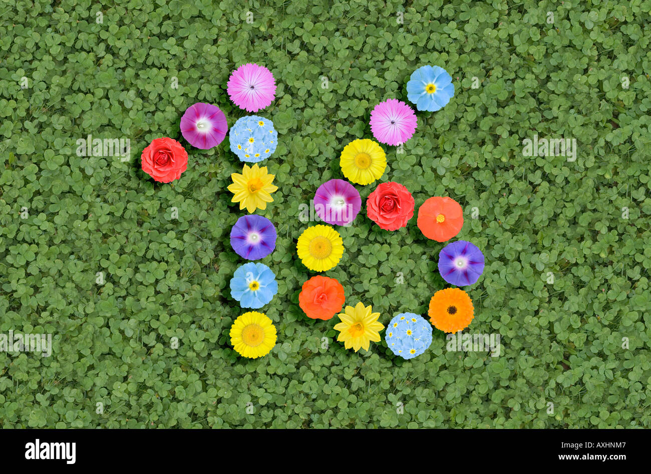 Numero 16 scritto con fiori Foto Stock Numero 16 scritto con fiori Foto Stock