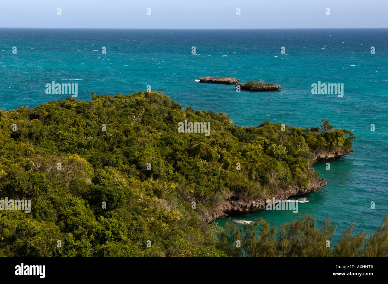 Chumbe island Zanzibar Tanzania Foto Stock