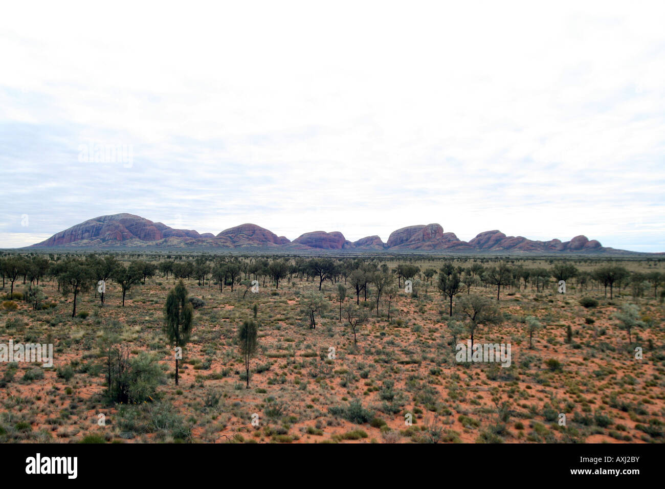 L'Olgas - Kata Tjuta - Monte Olga [Docker River Road, Uluru-Kata Tjuta National Park, il Territorio del Nord, l'Australia, Oceania]. Foto Stock