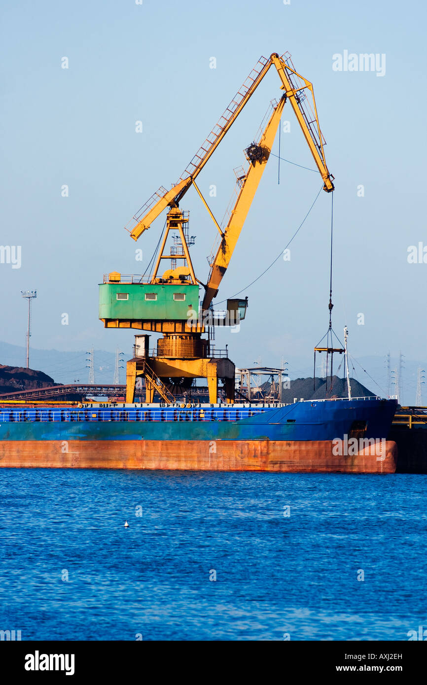 Grandi Spedizioni carico sbarcato da enormi gru nel porto di Piombino Toscana Italia Foto Stock