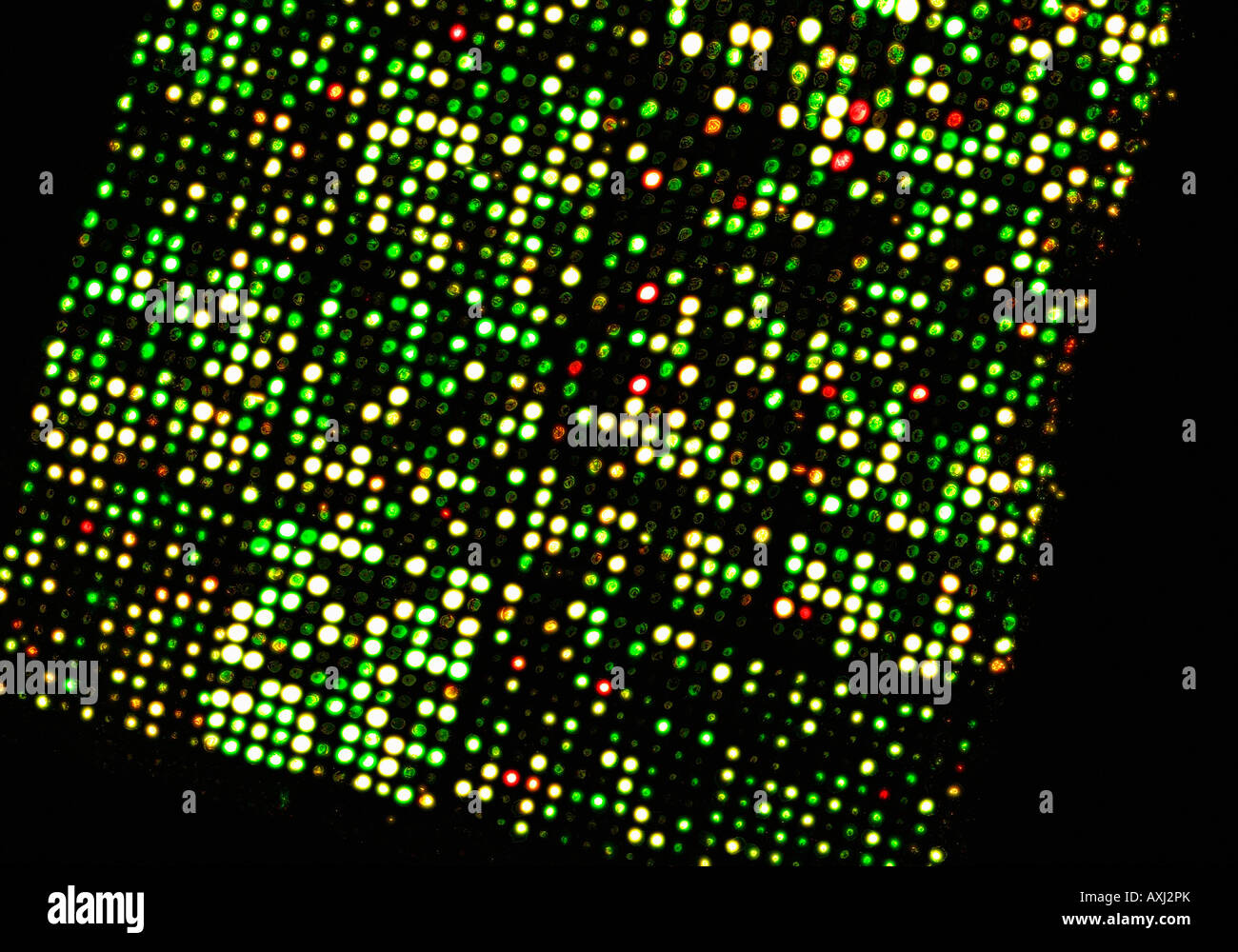 Micro array di DNA chip, genoma umano struttura Foto Stock