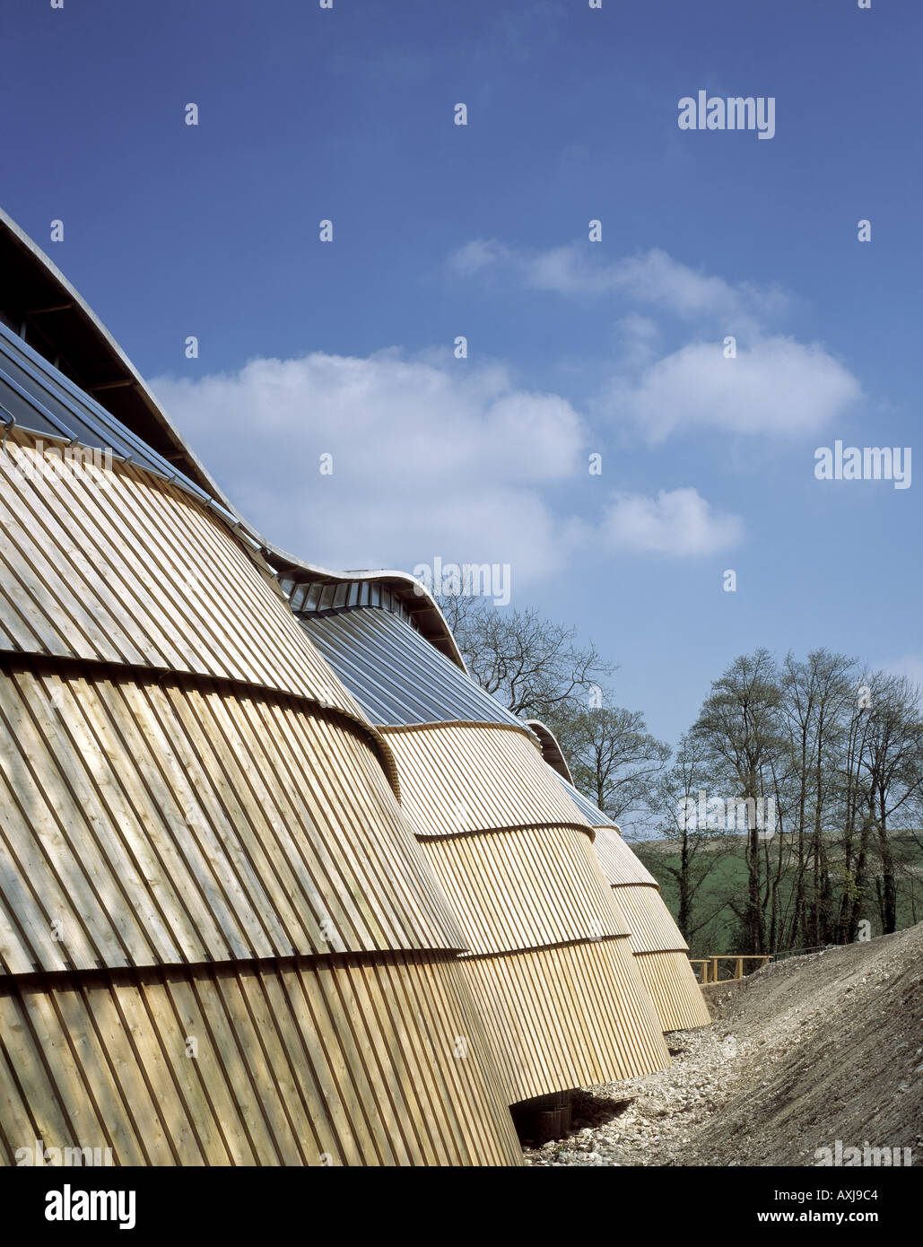 Il DOWNLAND GRIDSHELL Weald and Downland Open Air Museum Foto Stock