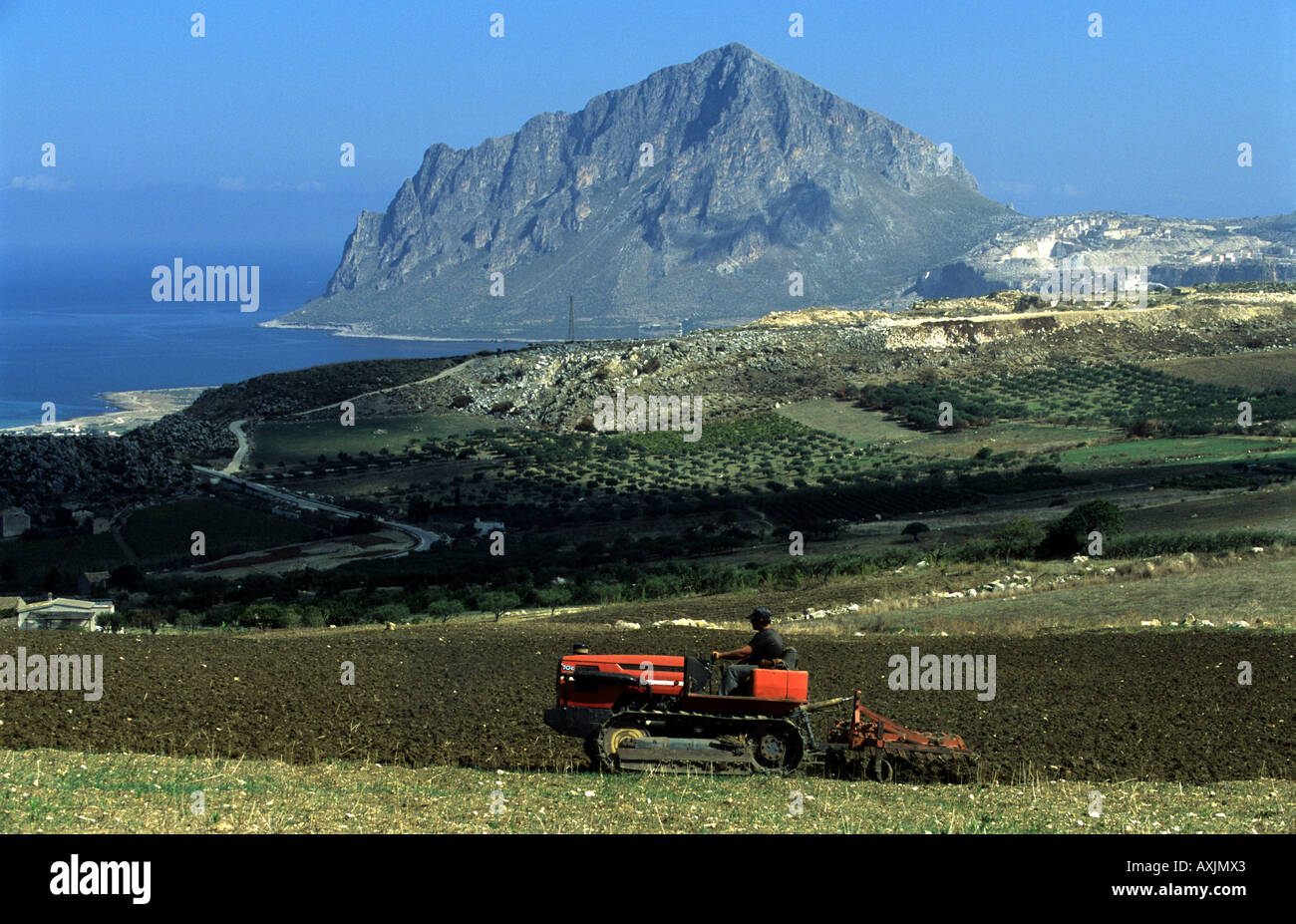 Terreni coltivati in un terreno di proprietà della famiglia fattoria organica, Valdarice, Sicilia, Italia. Foto Stock