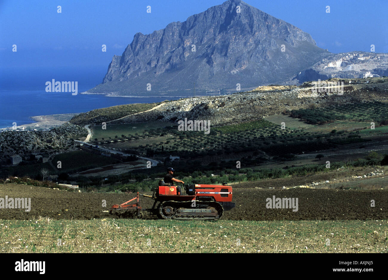 Terreni coltivati su una fattoria organica in Valdarice, Sicilia, Italia. Foto Stock