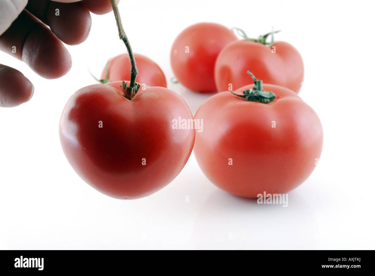 Il pomodoro a boo sb Foto Stock