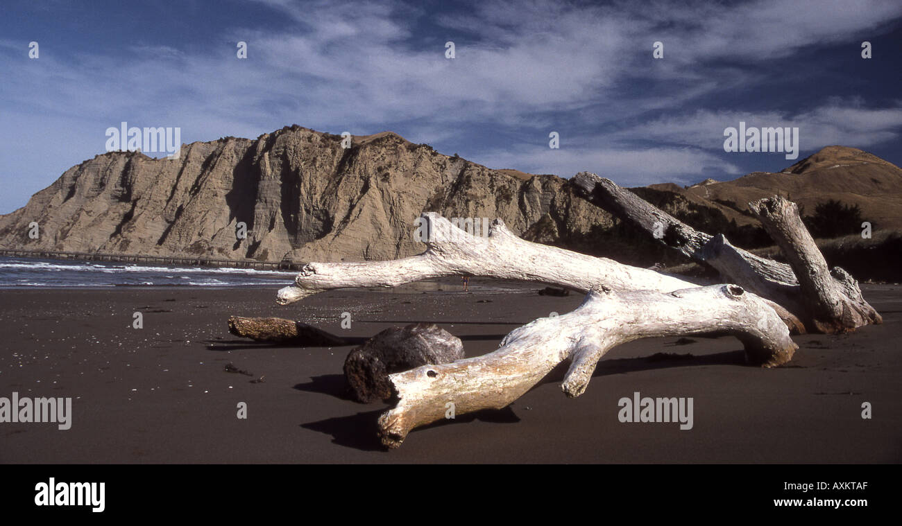 Tolaga baia dell'Isola del nord della Nuova Zelanda Foto Stock