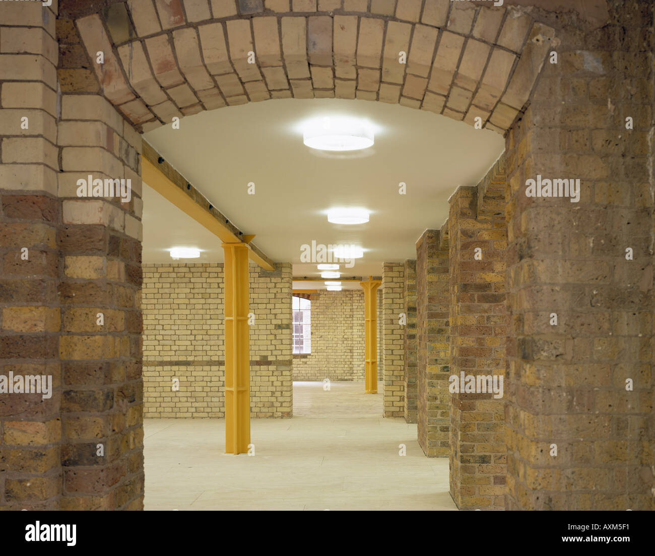 Lo sviluppo in Office Foto Stock