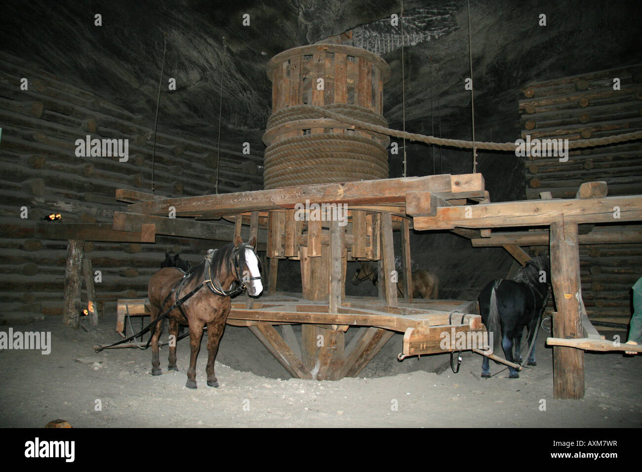 Un cavallo e sollevamento della macchina metropolitana presso l'UNESCO protetti Le Miniere di Sale di Wieliczka, Cracovia in Polonia. Foto Stock