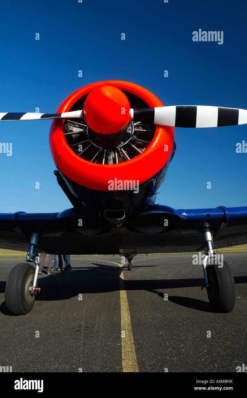 North American T-6 Texano Harvard piani della aerobatic Red Bull battenti formazione, Air show a haguenau, Francia, regione Alsazia Foto Stock