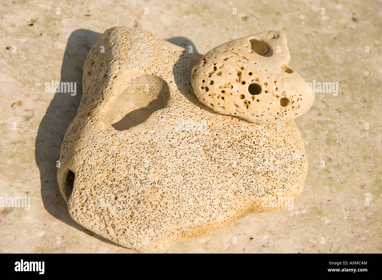 Rocce di gesso pietra pietra pietra pietra ciottoli sulla spiaggia Primo piano Inghilterra Regno Unito GB Gran Bretagna Foto Stock