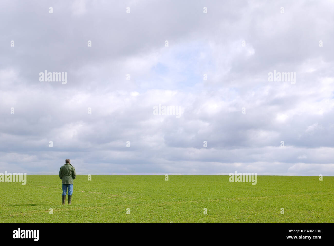 Un uomo in piedi in un campo verde sotto un cielo nuvoloso guardando verso l'orizzonte Foto Stock