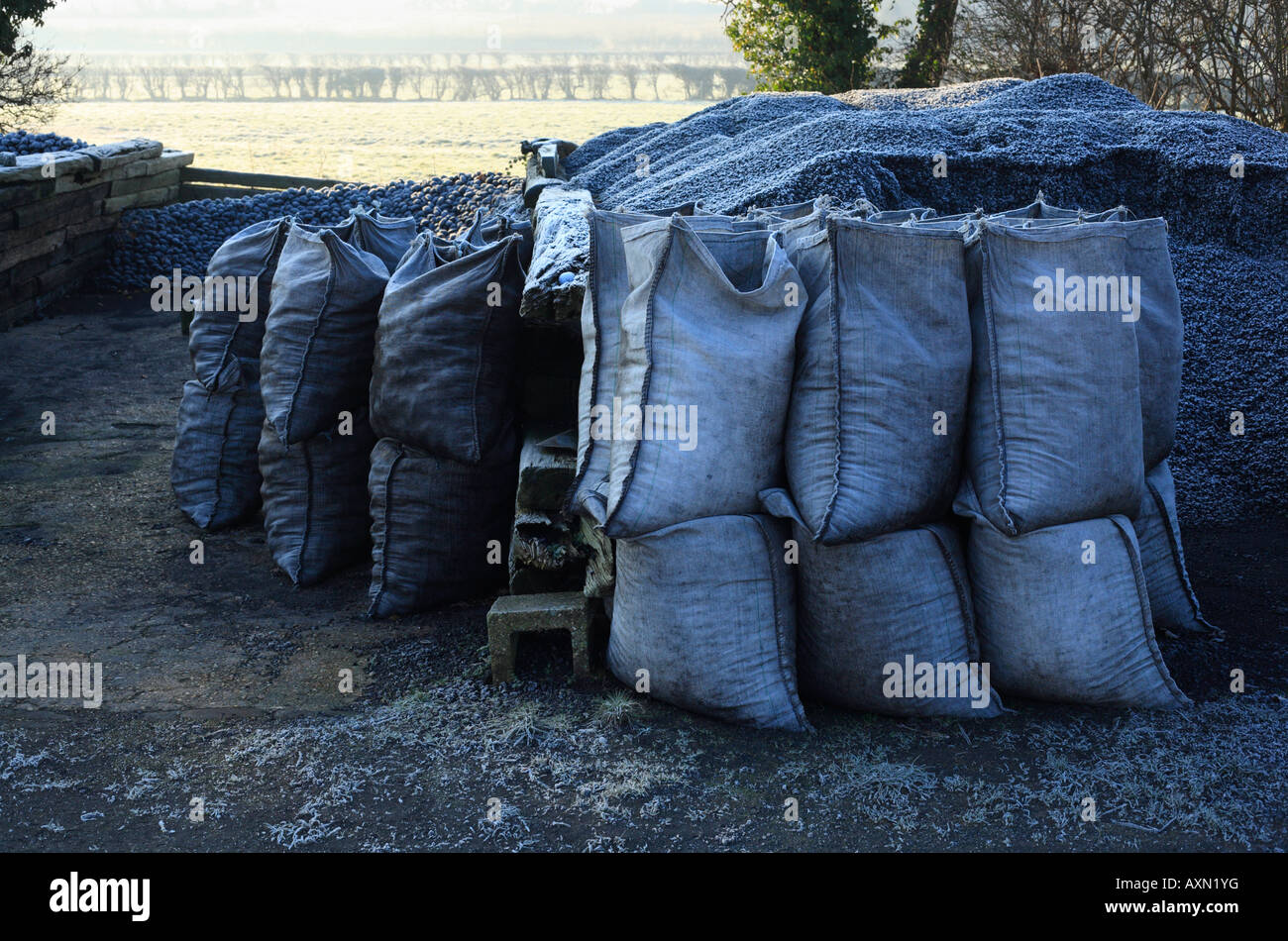 Un cantiere di carbone su un gelido inverno mattina con verdi campi dietro Foto Stock