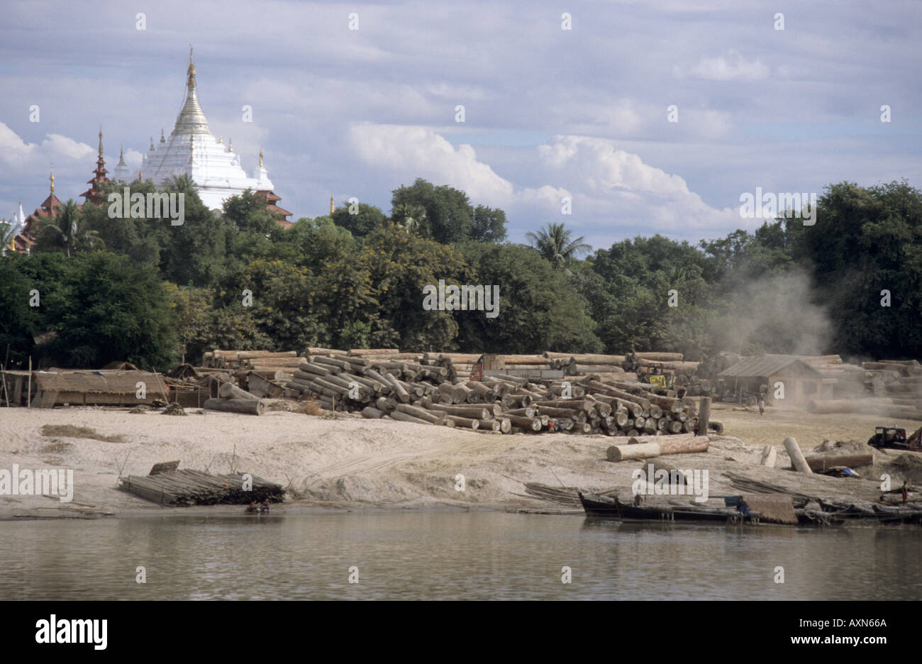 Log in teak sulla banca del fiume Irrawaddy Birmania Myanmar in attesa di essere preso lungo il fiume per l'esportazione. Foto Stock