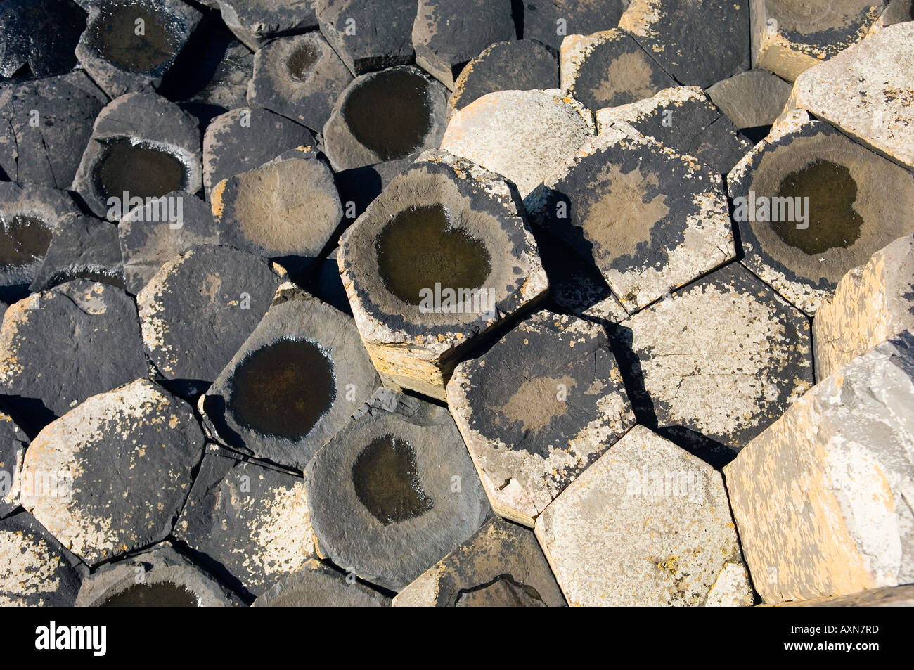Il Giants Causeway vicino a Bushmills, Irlanda del Nord. Colonne esagonali di roccia basaltica vulcanica della formazione a nido d'ape Foto Stock