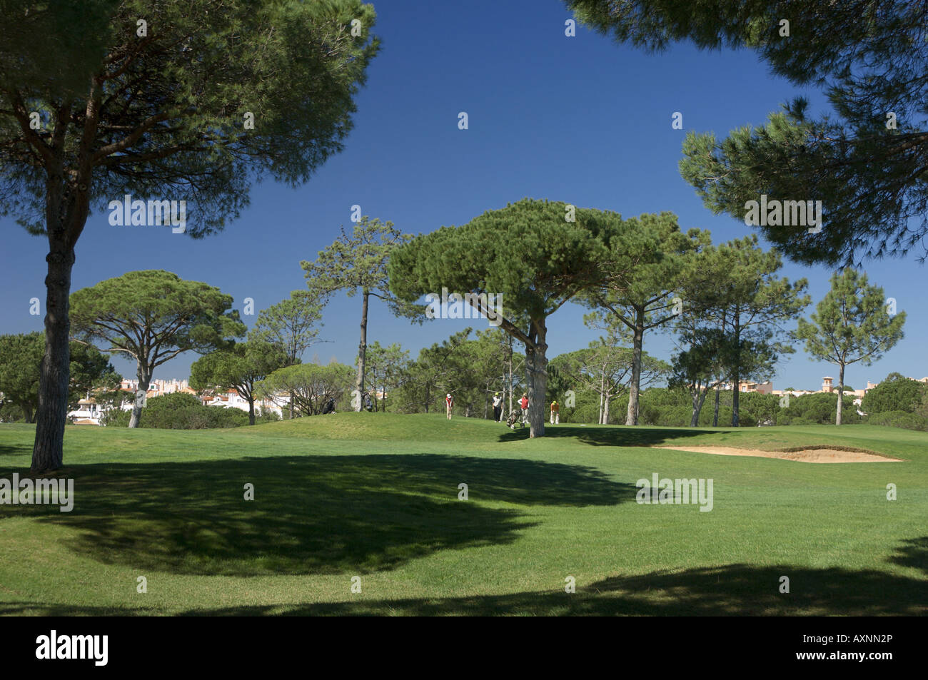 Il Portogallo Algarve, Vilamoura, Oceanico Pinhal golf, xv verde Foto Stock