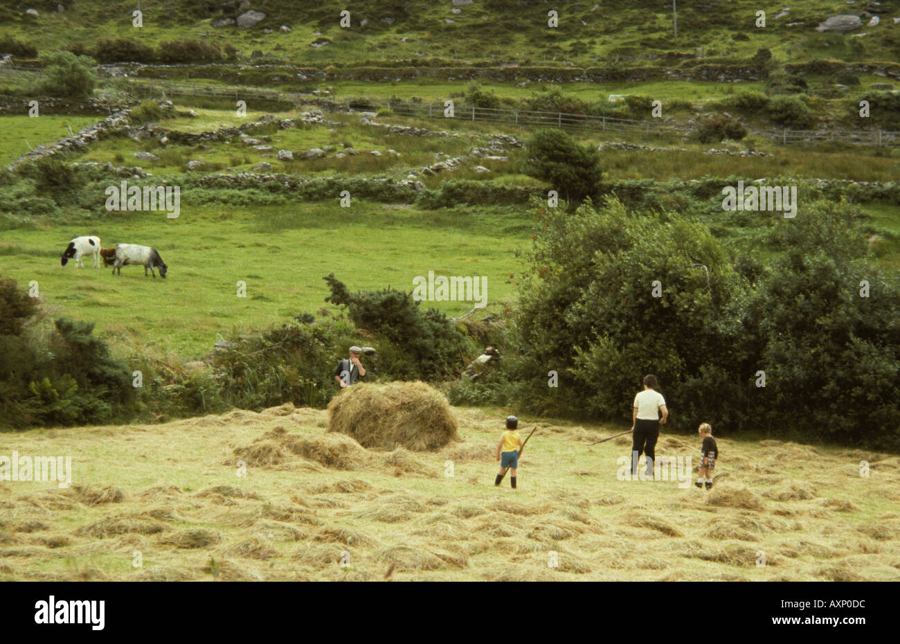 Un padre e i suoi due figli piccoli fienagione in Irlanda rurale Foto Stock