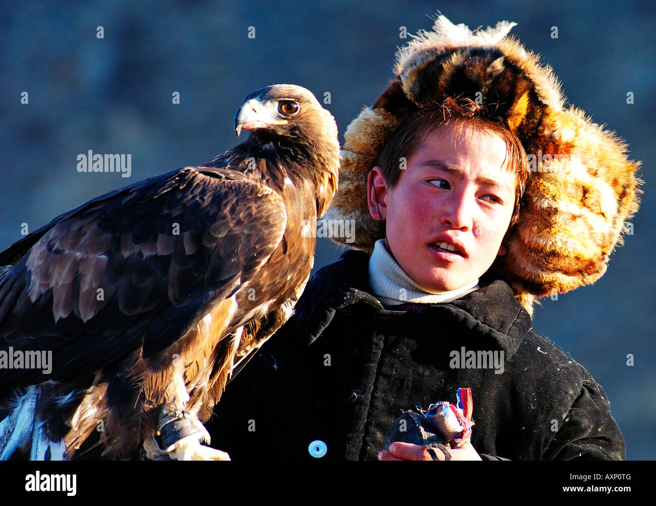 Un giovane cacciatore eagle si prepara a dimostrare la sua eagle per gli spettatori a l'Aquila annuale Festival di caccia Bayan Olgi, Mongolia Foto Stock