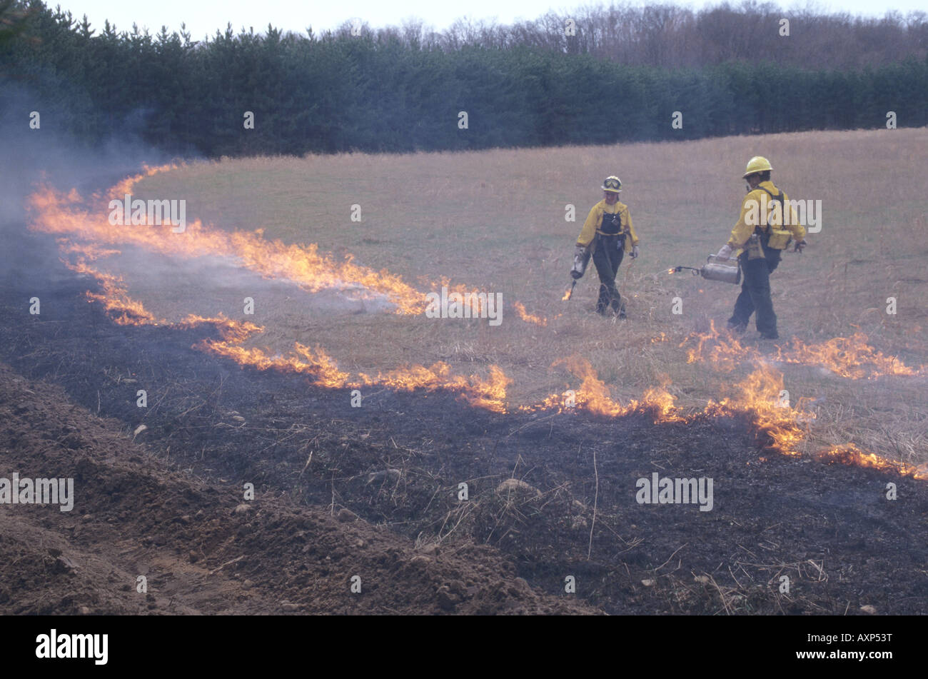 La masterizzazione fuori l'area dell'incendio Foto Stock