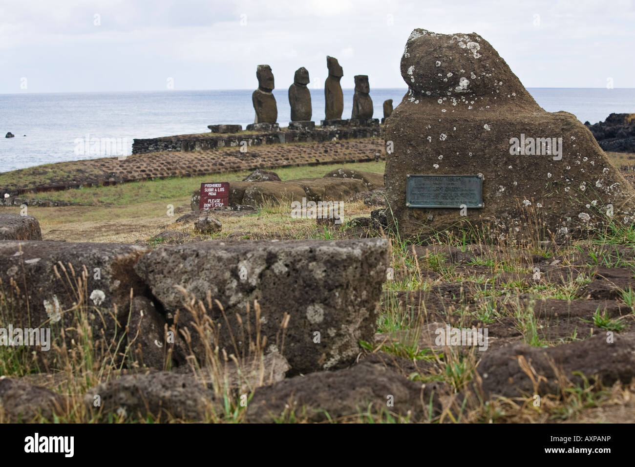 Tomba di William Mulloy. Un archeologo americano che ha contribuito a preservare il moai dell'isola di pasqua da 1955-1978 Foto Stock