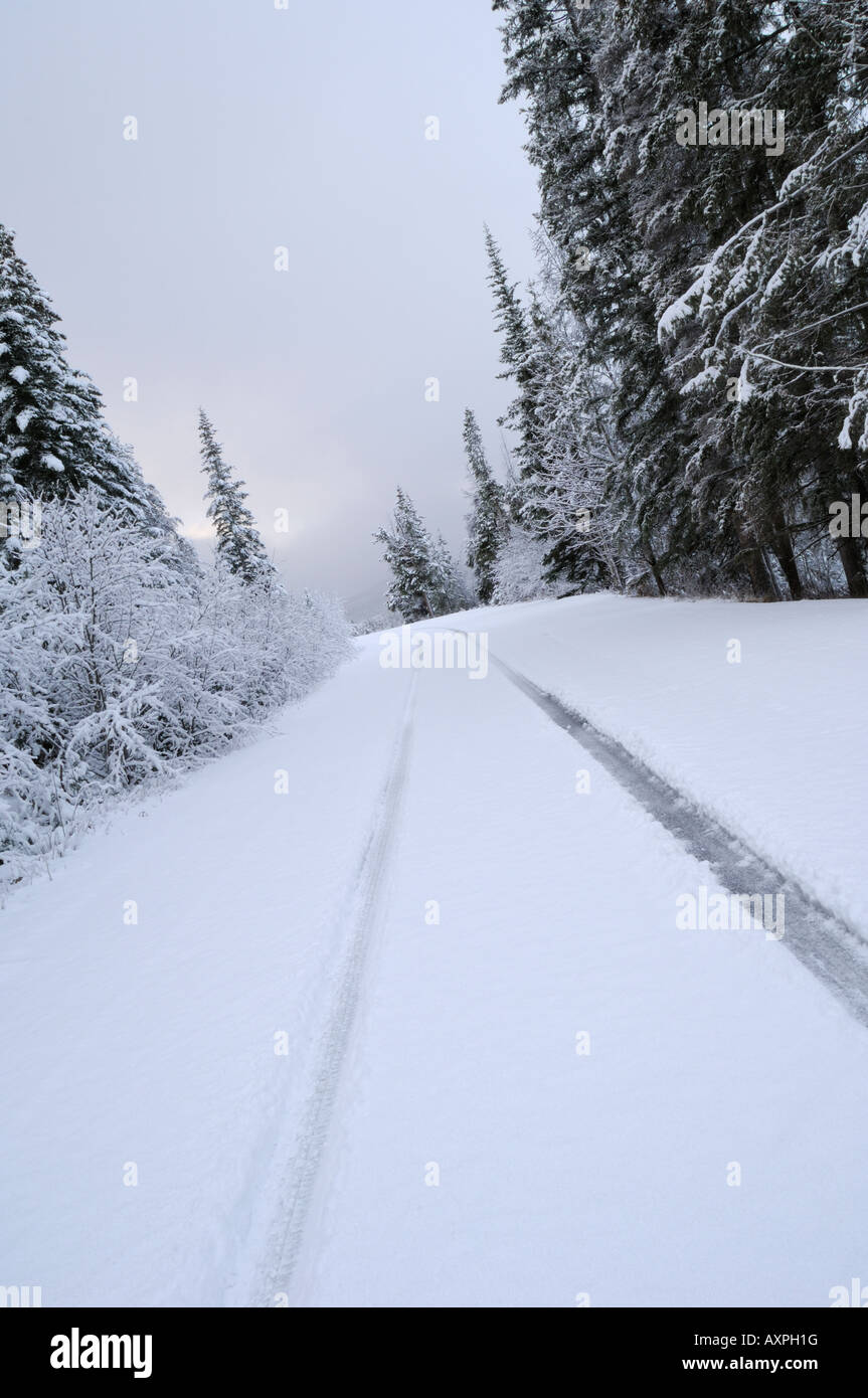 Tracce di pneumatici nella caduta di neve fresca Foto Stock