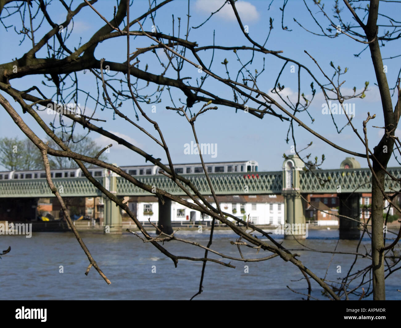 Dietro a sbalzo i rami di un albero, una metropolitana di Londra il treno passa sul binario di kew ponte sopra il fiume Tamigi Foto Stock