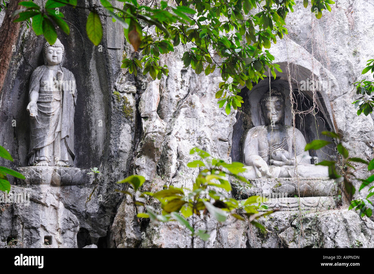 Sculture in pietra sulle scogliere del picco in volo da lontano al Ling Yin Tempio Hangzhou Cina Foto Stock