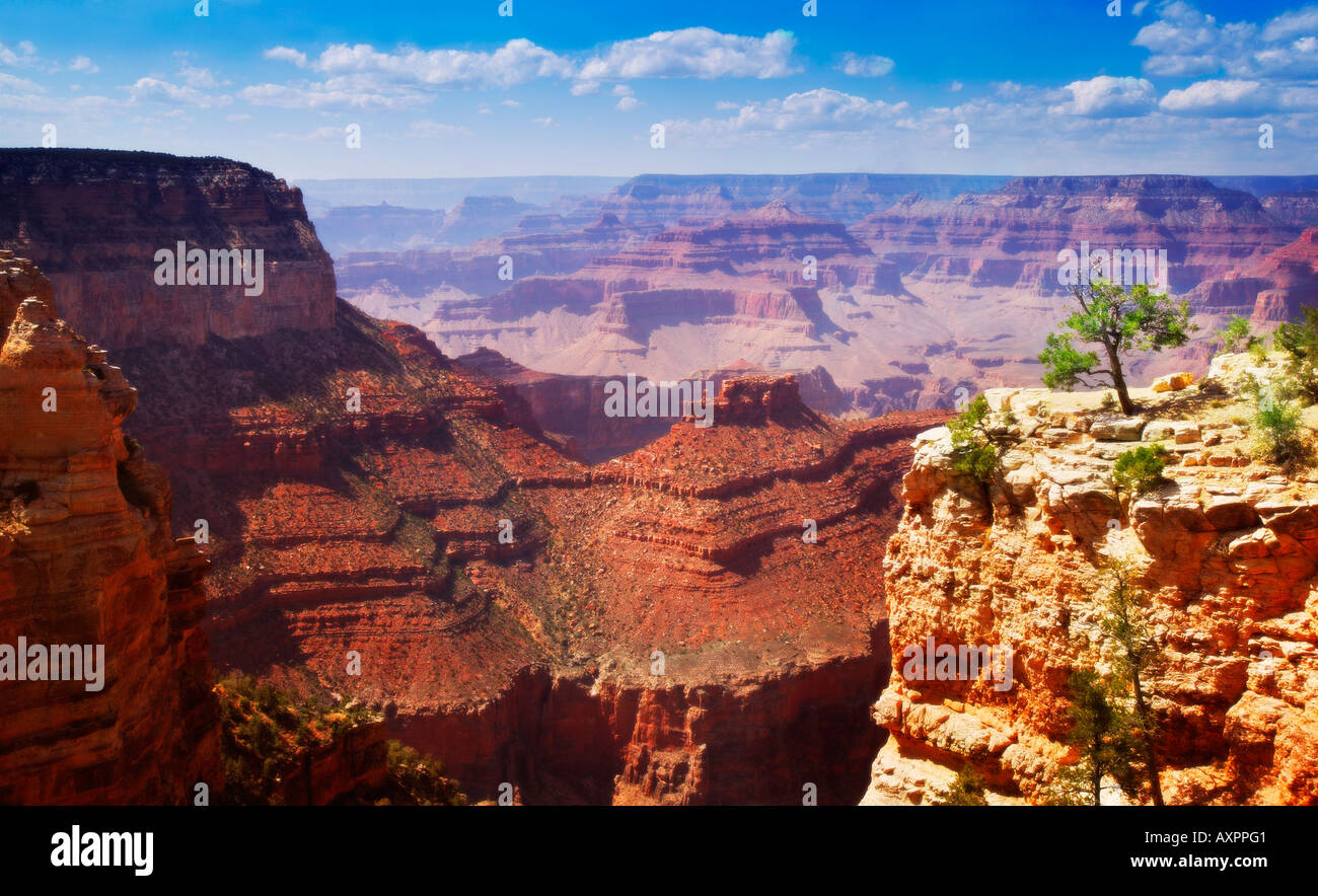 Il Grand Canyon, Arizona, Stati Uniti d'America Foto Stock