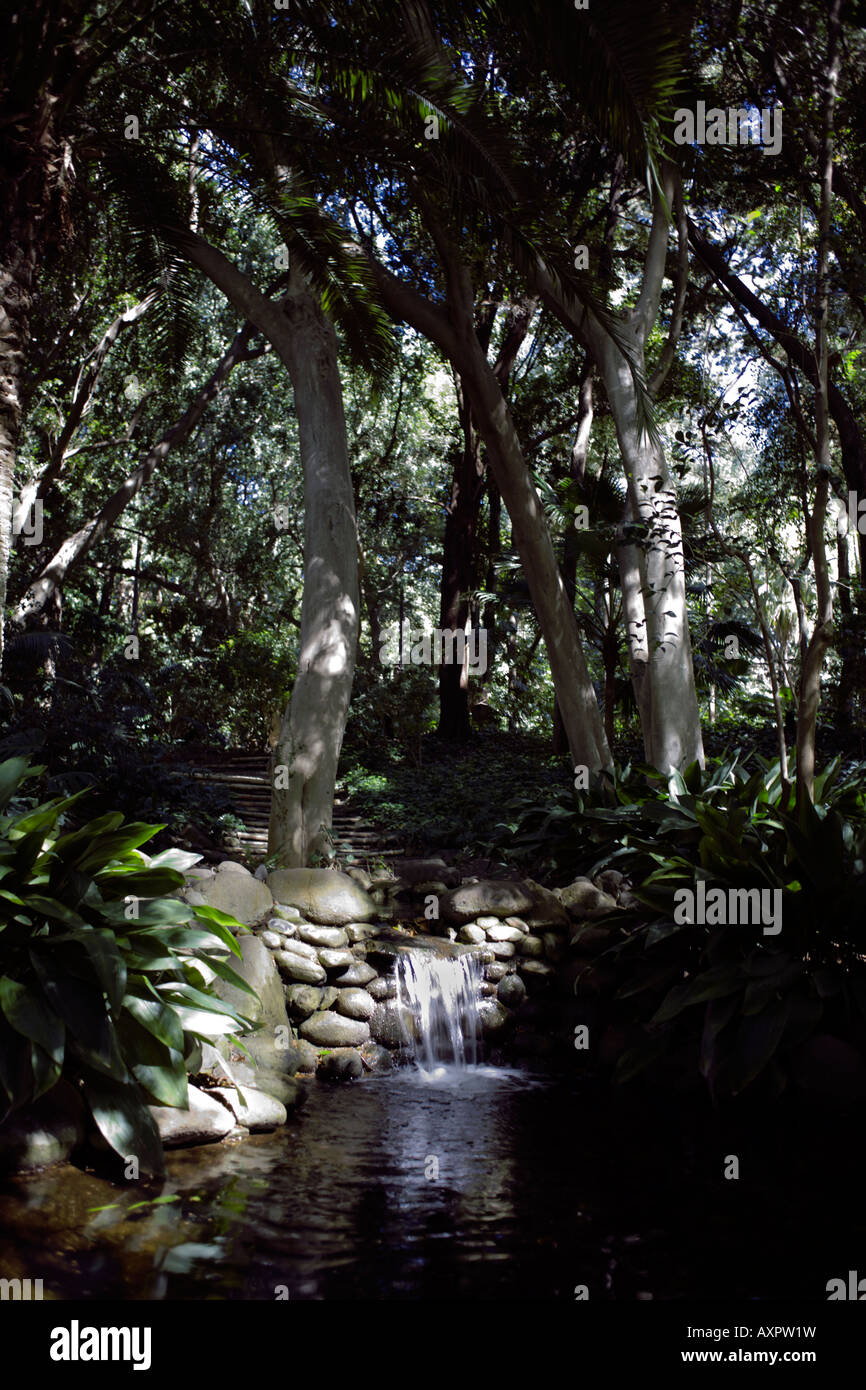 Flusso di ombrosi stagno e cascata ombra La Concepción Giardini Botanici Jardín Botánico La Concepción, Malaga, Spagna Foto Stock