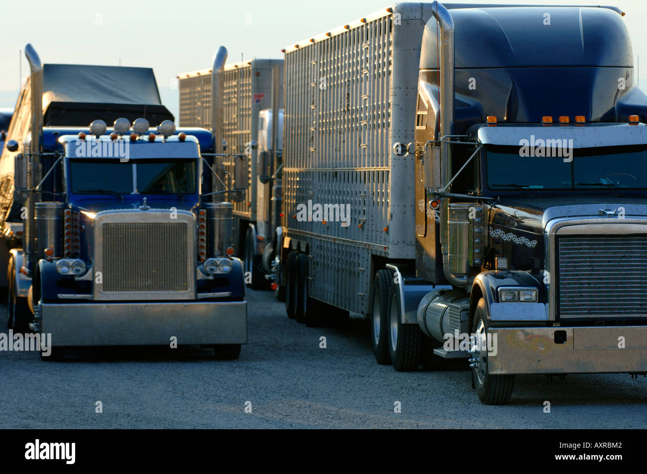 Camion Semirimorchi Immagini E Fotografie Stock Ad Alta Risoluzione - Foto 5