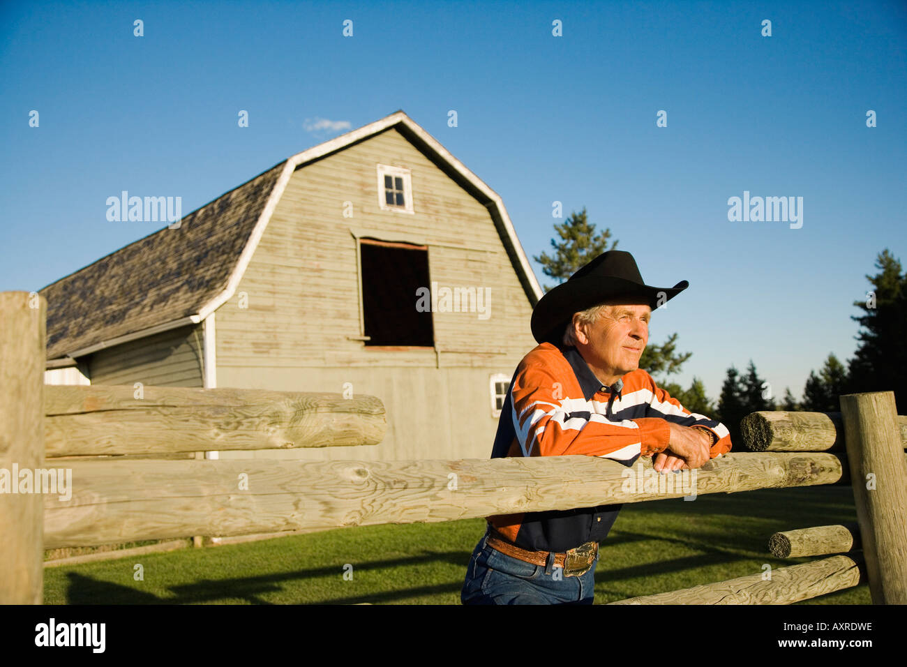 Il Rancher appoggiato su di un recinto per bestiame Foto Stock