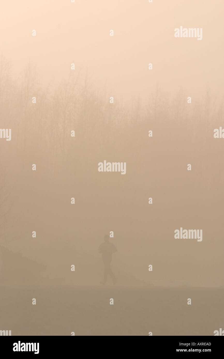 Runner acceso nel bosco nella nebbia mattutina , Finlandia Foto Stock