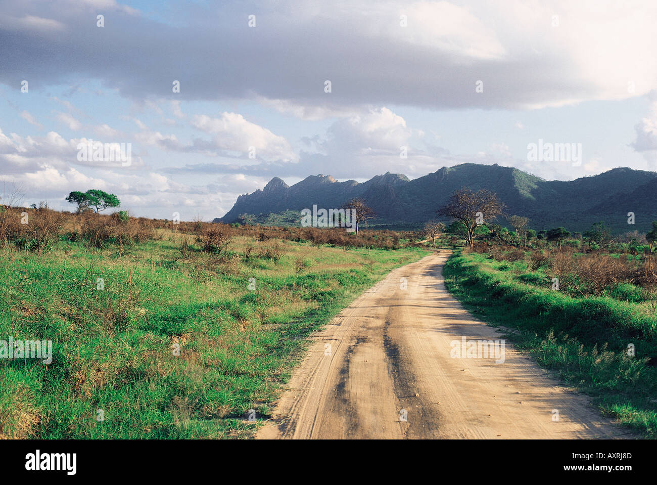 Veicolo via correndo verso le colline Ngulia in Tsavo ovest del Parco Nazionale del Kenya Africa orientale Foto Stock