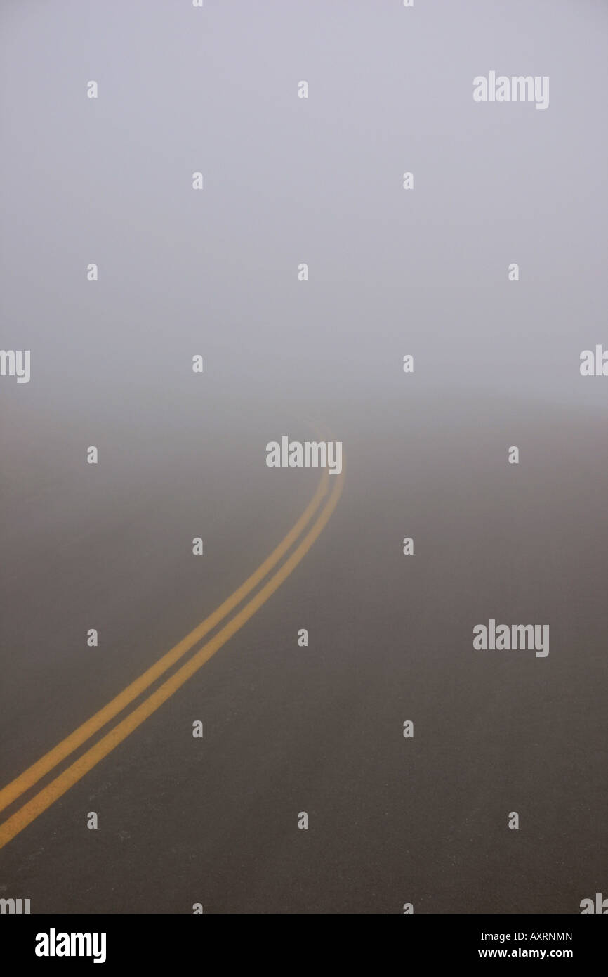 Una vista di una strada in caso di nebbia fitta limitando la visibilità Foto Stock