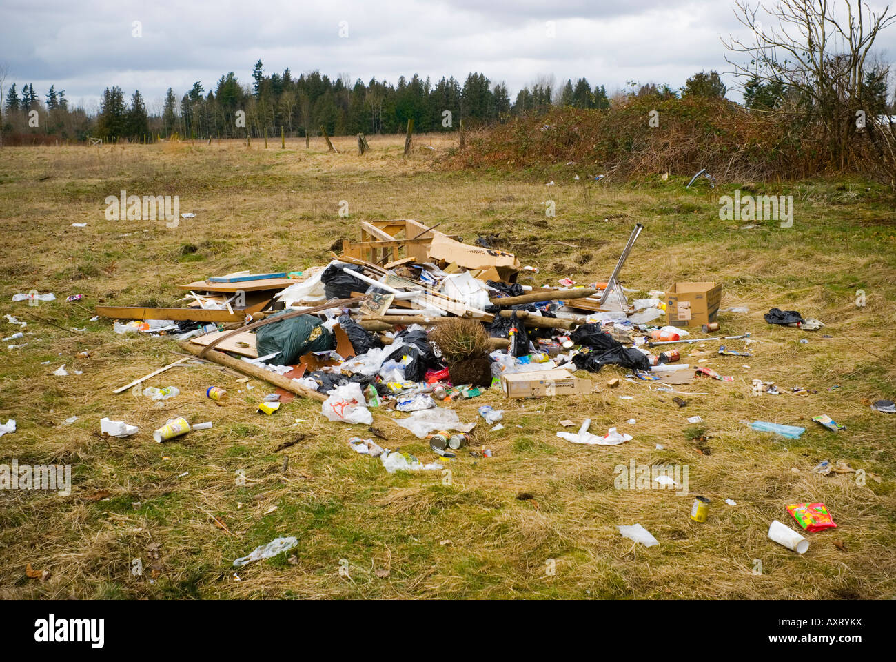 Illegalmente rifiuti oggetto di dumping si trova in un campo Foto Stock Illegalmente rifiuti oggetto di dumping si trova in un campo Foto Stock