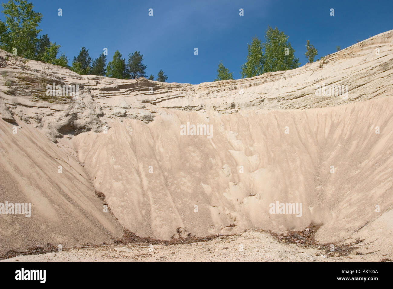 Parete di sabbia in una cresta sabbiosa , esker glaciale , Finlandia Foto Stock