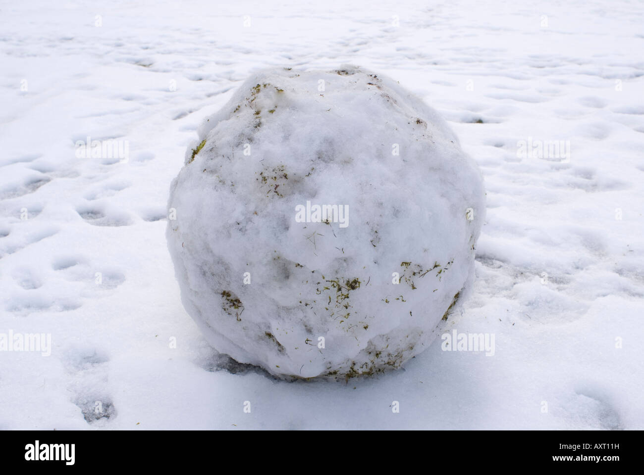 Grande palla di neve Foto stock - Alamy