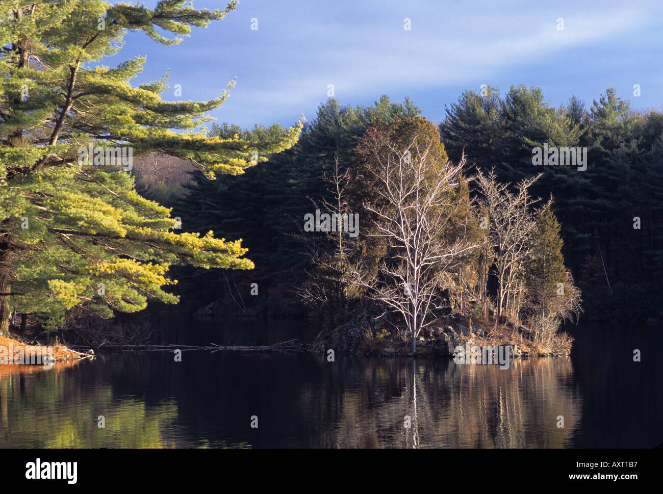 Paesaggio con lago e alberi Connecticut New England negli Stati Uniti Foto Stock