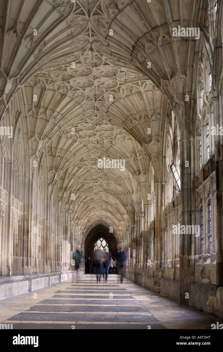 Ventola gotica con soffitto a volta chiostri alla cattedrale di Gloucester, Regno Unito Foto Stock